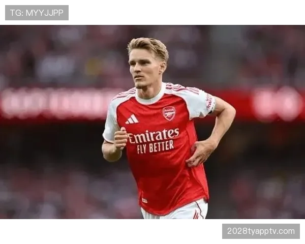 厄德高价值解析：个人能力上限与体系依赖的博弈