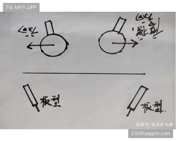 争议球处理规则怎么判？最新判罚标准解析